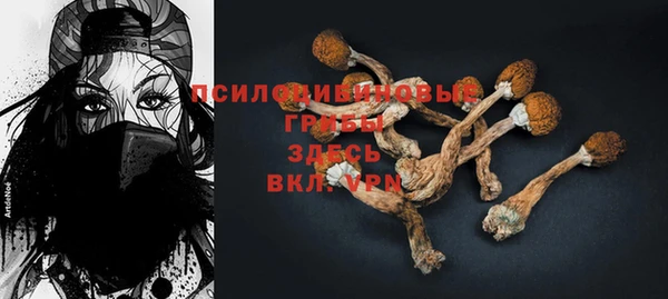 шишки Аркадак