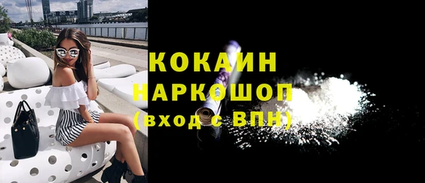 шишки Аркадак