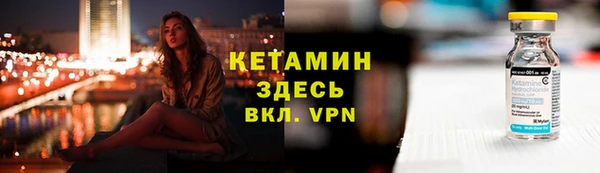 шишки Аркадак