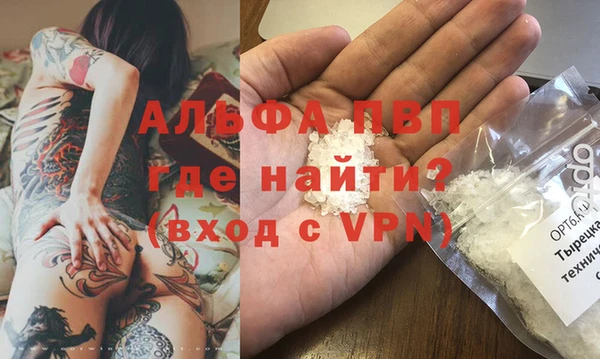 шишки Аркадак
