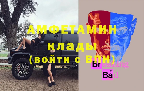 шишки Аркадак