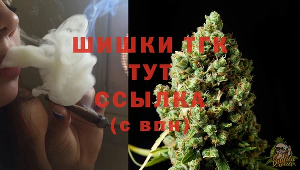 дмт Армянск
