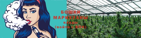 шишки Аркадак