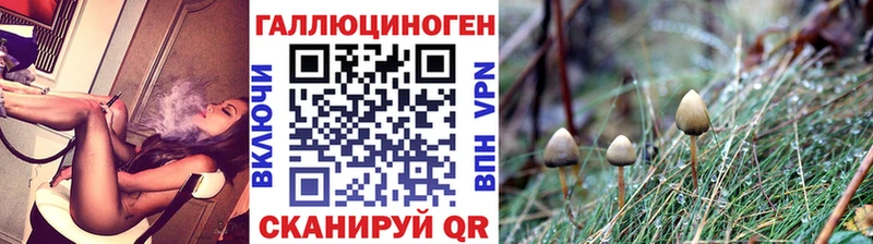Галлюциногенные грибы GOLDEN TEACHER  Бакал 